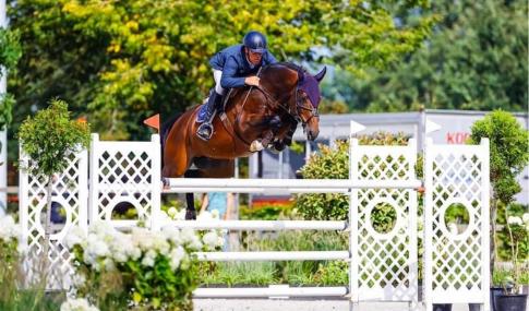 Je Suis Equus Tame