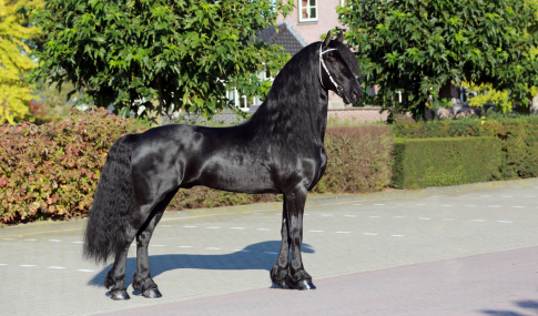 Tiede 501