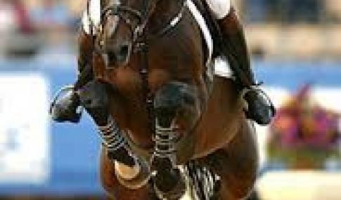 Diamant de Semilly