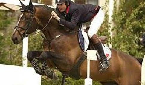 Diamant de Semilly