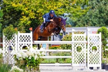 Je Suis Equus Tame