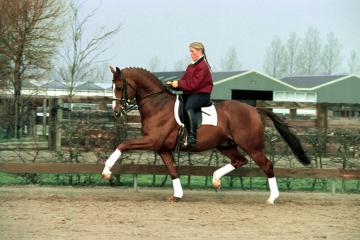 Houston keur 