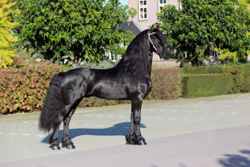 Tiede 501