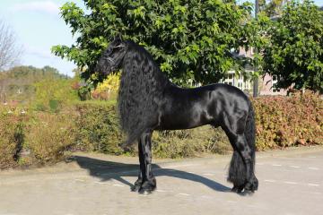 Epke 474