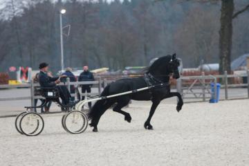 Jurre 495